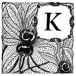 Kvinsland Consulting Services